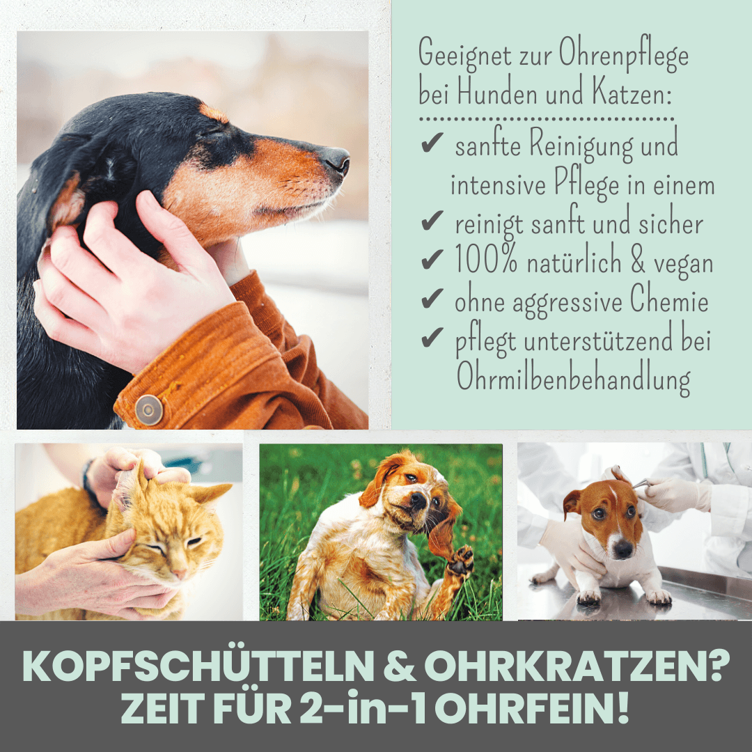 
                  
                    Großes Pflege-Set (2-in-1 Augenfein + 2-in-1 Ohrfein + Pflegepads)
                  
                