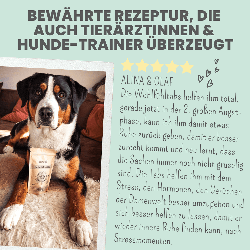 
                  
                    Wohlfühltabs für Hunde bei Stress, Angst, Unruhe und Hyperaktivität
                  
                