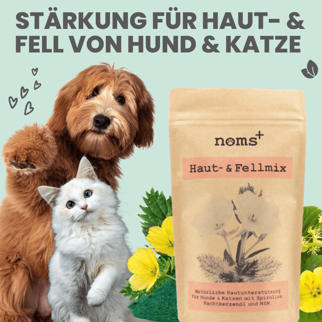 
                  
                    Haut- & Fellmix für Hunde mit Spirulina, MSM und Nachtkerzenöl
                  
                