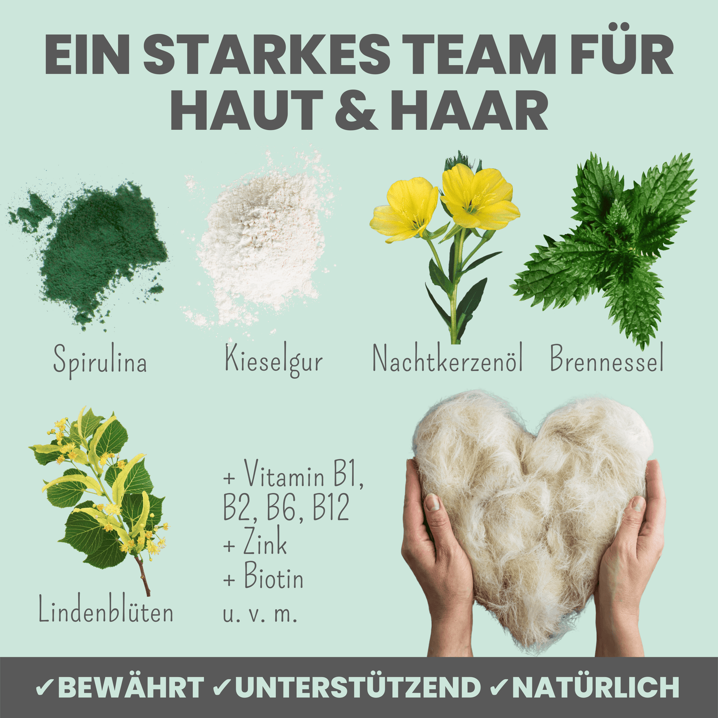 
                  
                    Haut- & Fellmix für Hunde mit Spirulina, MSM und Nachtkerzenöl
                  
                