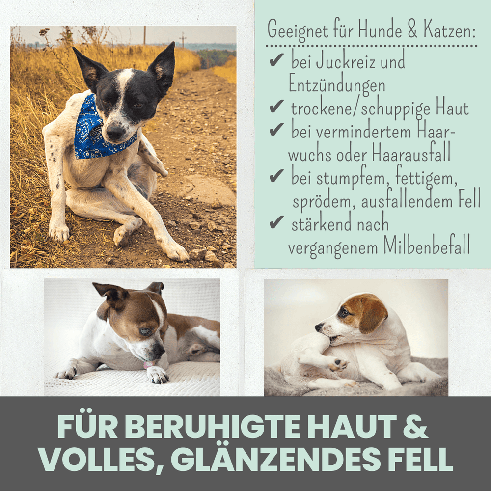 
                  
                    Haut- & Fellmix für Hunde mit Spirulina, MSM und Nachtkerzenöl
                  
                