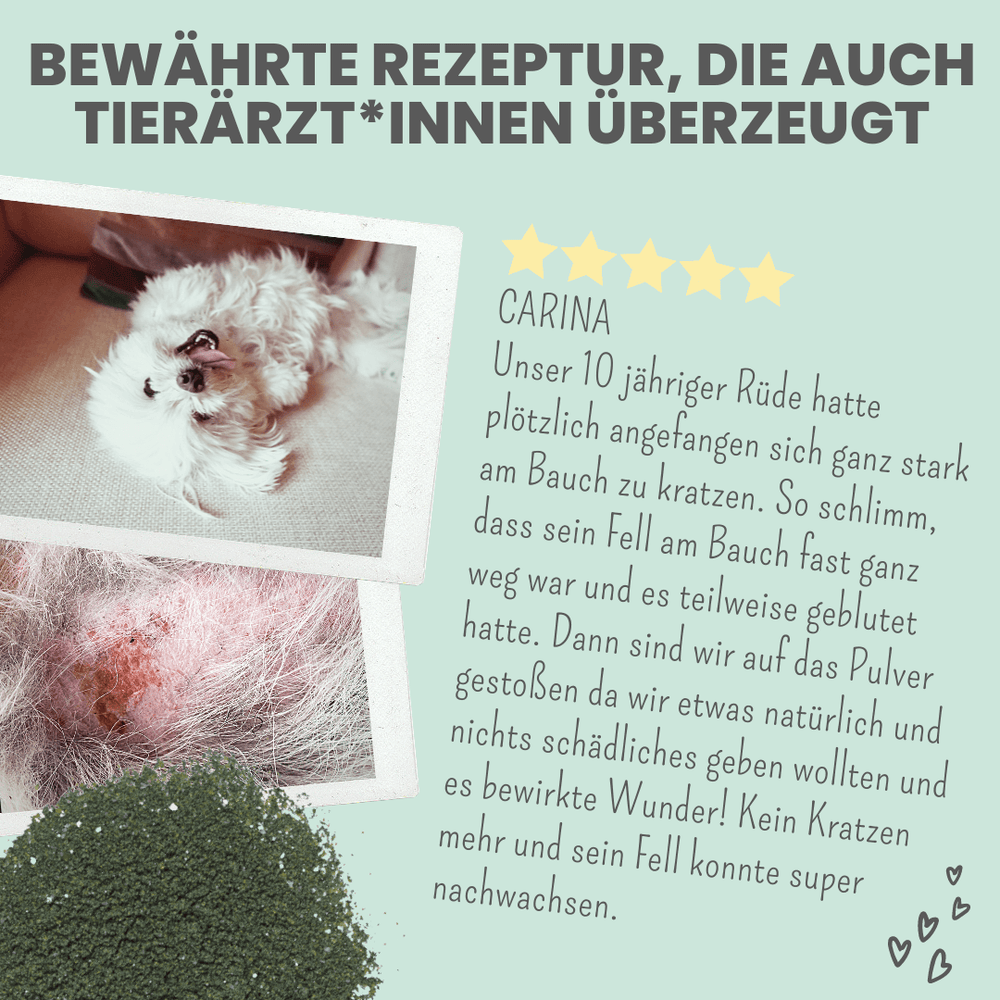 
                  
                    Haut- & Fellmix für Hunde mit Spirulina, MSM und Nachtkerzenöl
                  
                