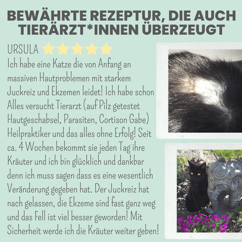 
                  
                    Haut- & Fellmix für Hunde mit Spirulina, MSM und Nachtkerzenöl
                  
                
