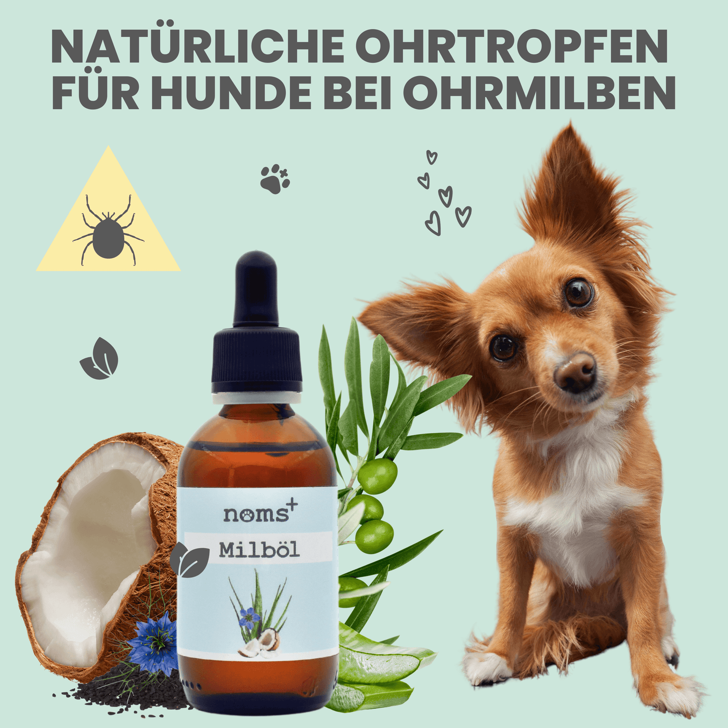 
                  
                    Milböl unterstützt pflegend beim Befall von Ohrmilben bei Hunden (50ml)
                  
                