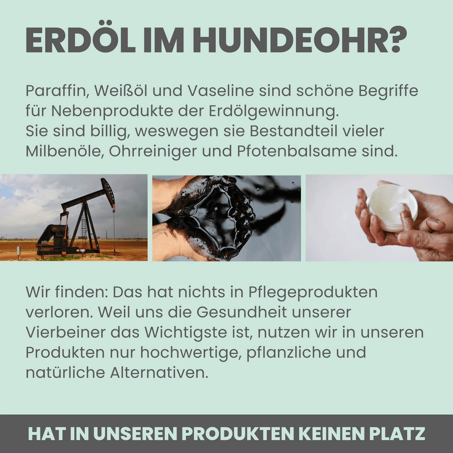 
                  
                    Milböl unterstützt pflegend beim Befall von Ohrmilben bei Hunden (50ml)
                  
                