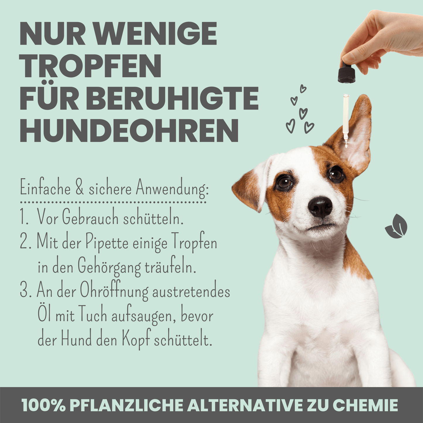 
                  
                    Milböl unterstützt pflegend beim Befall von Ohrmilben bei Hunden (50ml)
                  
                