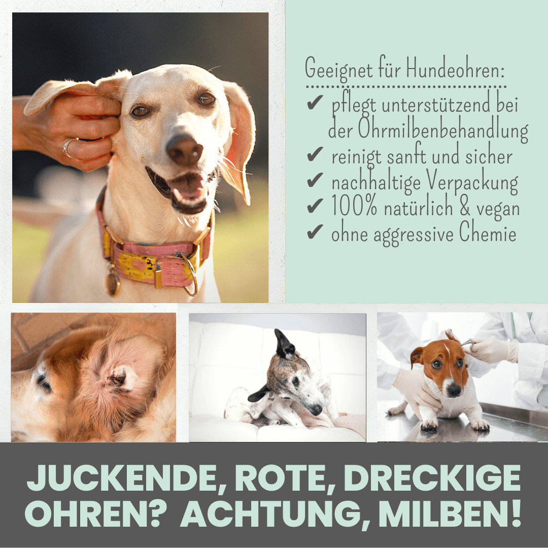 
                  
                    Milböl unterstützt pflegend beim Befall von Ohrmilben bei Hunden (50ml)
                  
                