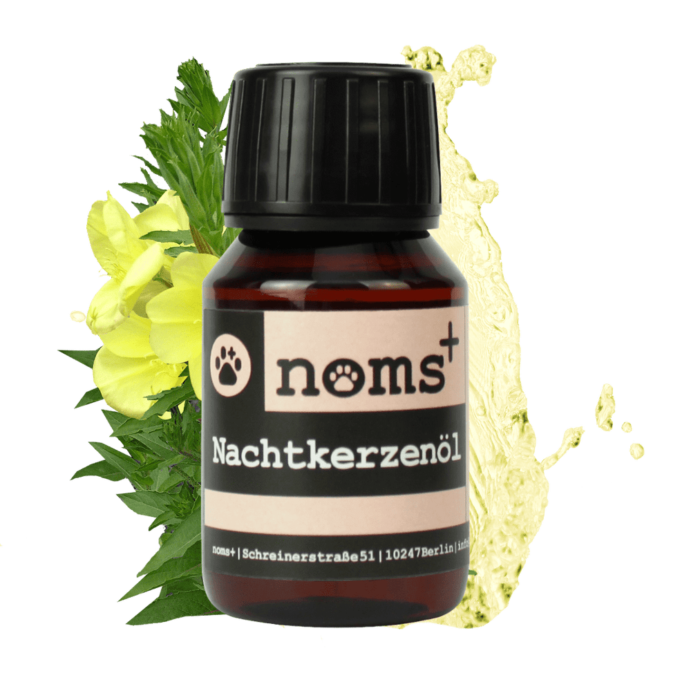 Nachtkerzenöl (50ml)