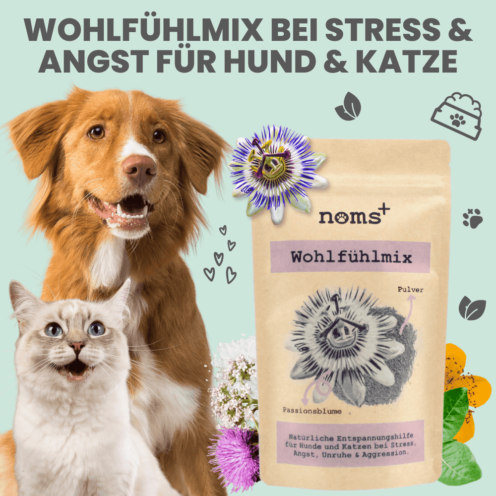 
                  
                    Wohlfühlmix für Hunde bei Stress, Angst, Unruhe und Hyperaktivität
                  
                